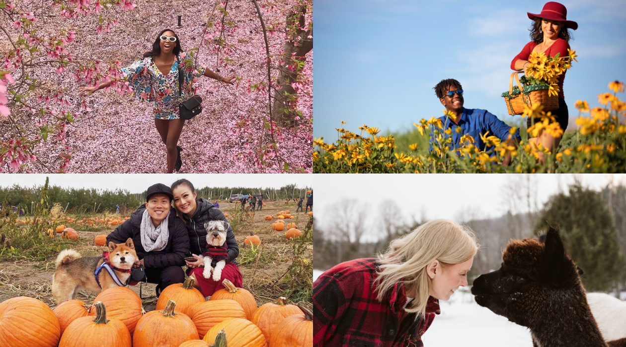 Dutchess Tourism Seasonal Landing Page